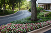 Turtle Creek Ave.