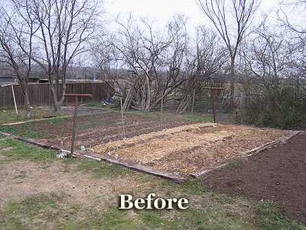 Ron's Organics, Inc.