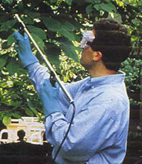Foliar Feeding with a Trombone Sprayer